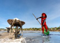 HIDRÓXIDO DE SODIO » Usos, Preparación Y Contraindicaciones