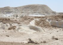 SALES MINERALES » Usos, Beneficios Y Función Nutricional